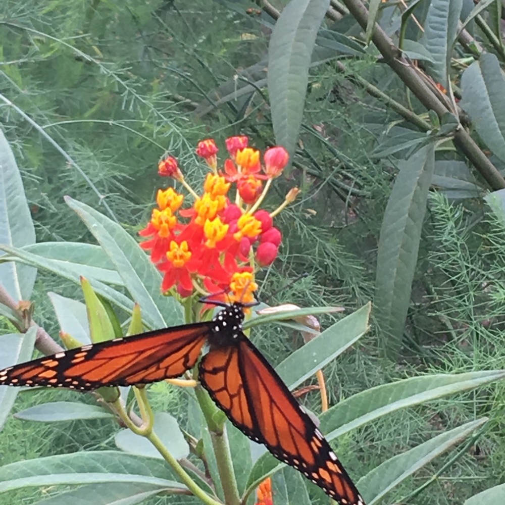 Meet your Posher, Erin